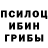 Галлюциногенные грибы мицелий FASTER YT