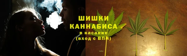 прущая мука Бородино