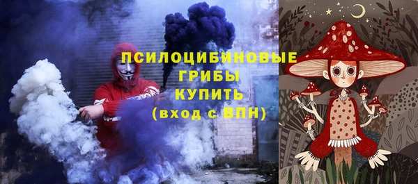 соль ск Бронницы