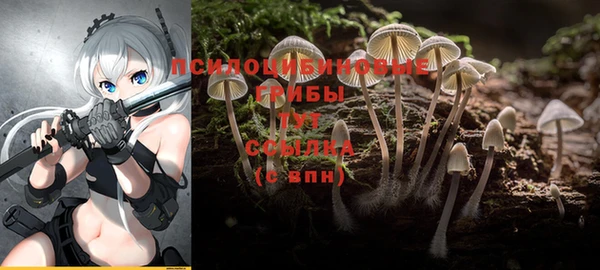 прущая мука Бородино