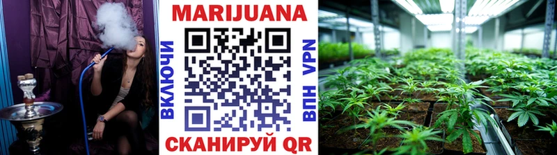 Купить закладки  Ершов  МАРИХУАНА Ganja 